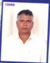 NAGARAJU SAVANAPUDI